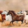 AKV_fart_cvet_horses_2