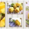 AKV_fart_cvet_tulip_yellow_1