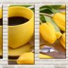 AKV_fart_cvet_tulip_yellow_2
